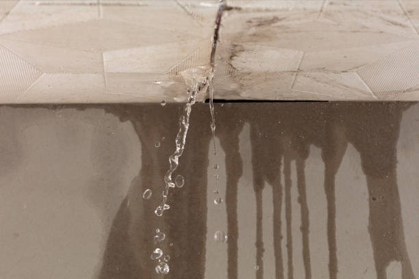 Professional Sewage Cleanup technician working in Racine, OH